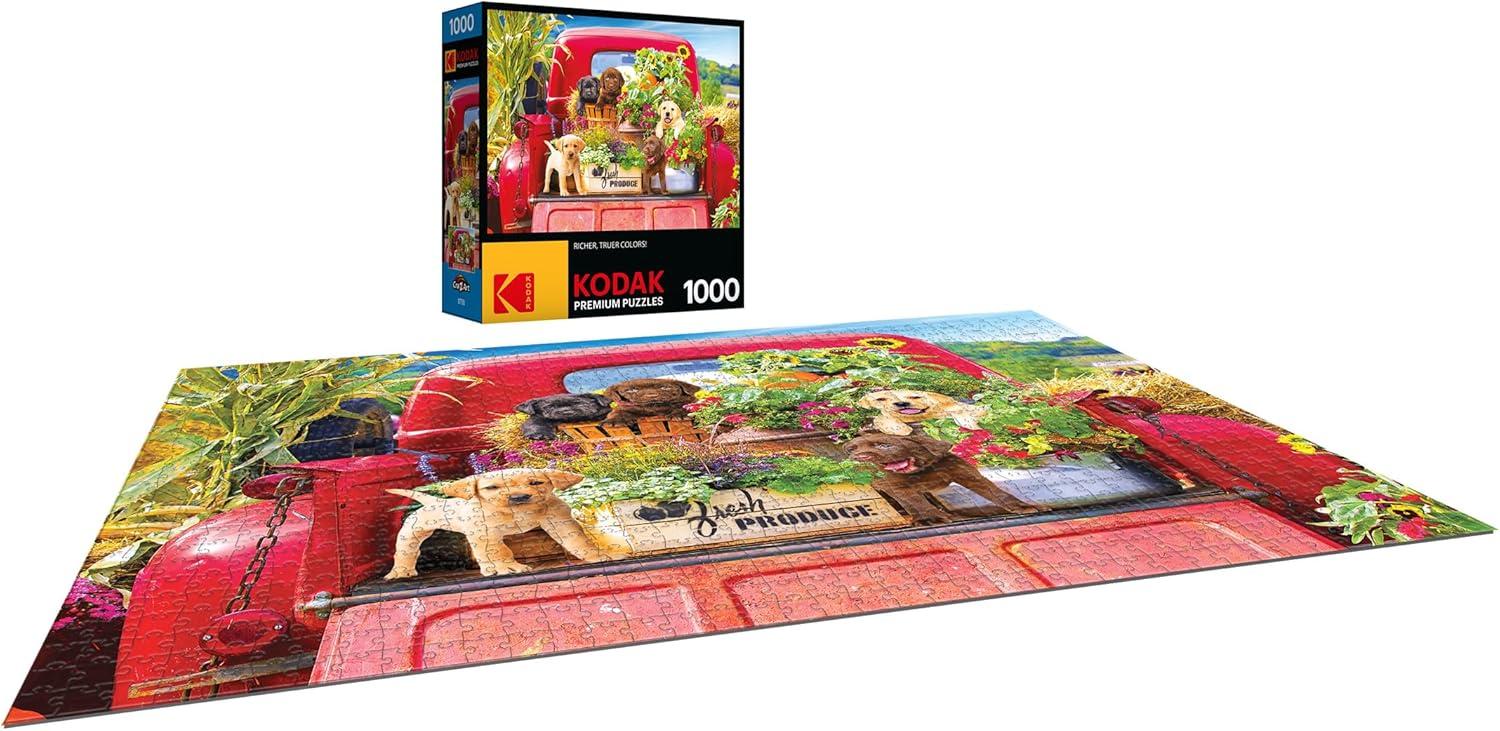 image:imageRoseArt Kodak Premium Stowaways 1000 Piece Jigsaw Puzzle for AdultsStowaways