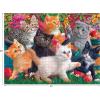 RoseArt – Fancy Cats – Library Mischief – 750 Piece Jigsaw Puzzle for Adults(Kittens at Play)