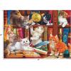 RoseArt – Kodak Premium – Love is Everywhere – 1000 Piece Jigsaw Puzzle for Adults(Library Mischief)