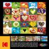 RoseArt – Kodak Premium – Love is Everywhere – 1000 Piece Jigsaw Puzzle for Adults(Love is Everywhere)