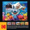 RoseArt – Kodak Premium – Panda Playtime – 100 Piece Jigsaw Puzzle for Adults(Ocean LOL)