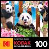 RoseArt – Kodak Premium – Panda Playtime – 100 Piece Jigsaw Puzzle for Adults(Panda Playtime)
