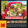 RoseArt – Kodak Premium – Stowaways – 1000 Piece Jigsaw Puzzle for Adults(Stowaways)