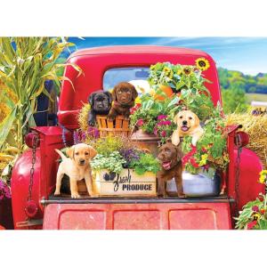 RoseArt – Kodak Premium – Stowaways – 1000 Piece Jigsaw Puzzle for Adults(Stowaways)