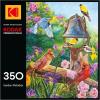 RoseArt – Kodak – Maine Road 350 Piece Jigsaw Puzzle, Scenic Autumn Landscape Puzzle for Adults(Garden Melodies)