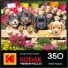 RoseArt – Kodak – Maine Road 350 Piece Jigsaw Puzzle, Scenic Autumn Landscape Puzzle for Adults(Market Puppies)