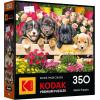 RoseArt – Kodak – Maine Road 350 Piece Jigsaw Puzzle, Scenic Autumn Landscape Puzzle for Adults(Market Puppies)
