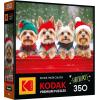 RoseArt – Kodak Premium – Christmas Magic – 1000 Piece Jigsaw Puzzle for Adults(Yorkie Holidays)
