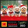RoseArt – Kodak Premium – Christmas Magic – 1000 Piece Jigsaw Puzzle for Adults(Yorkie Holidays)