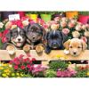 RoseArt – Kodak – Maine Road 350 Piece Jigsaw Puzzle, Scenic Autumn Landscape Puzzle for Adults(Market Puppies)