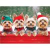 RoseArt – Kodak Premium – Christmas Magic – 1000 Piece Jigsaw Puzzle for Adults(Yorkie Holidays)