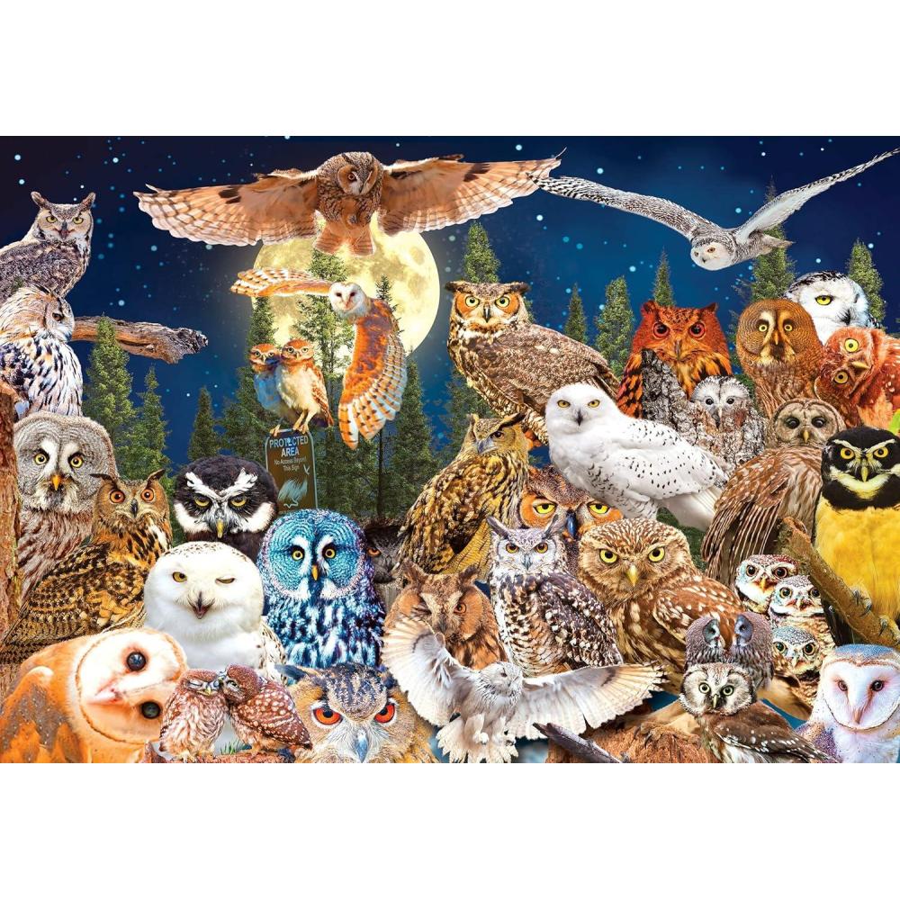 image:imageRoseArt  Kodak Premium  El Capitan and Merced River in Autumn Yosemite National Park  1500 Piece Jigsaw Puzzle for AdultsNight Owls