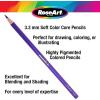 Rose Art Premium 24ct Colored Pencils – Art Supplies for Drawing, Sketching, Adult Colors, Soft Core Color Pencils – 24 Pack, multi(24 Count)
