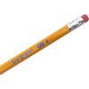 Rose Art U.S.A. Gold Pre-Sharpened American Wood Cased #2 HB Yellow Pencils, 36 Pack