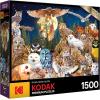 RoseArt – Kodak Premium – Night Owls – 1500 Piece Jigsaw Puzzle for Adults(Night Owls)