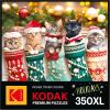RoseArt – Kodak Premium – Sneaky Kats II – 350 Piece Jigsaw Puzzle for Adults(Kitten Stockings)