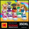 RoseArt – Kodak Premium – Sneaky Pups in Sneakers – 350 Piece Jigsaw Puzzle for Adults