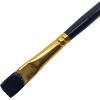 RoseArt Acrylic Paint Raven Black 32oz Bottle, Acrylic Paint for School Projects, Arts & Crafts, Drawing & Painting(Black)