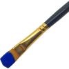 RoseArt Acrylic Paint Raven Black 32oz Bottle, Acrylic Paint for School Projects, Arts & Crafts, Drawing & Painting(Blue)