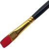 RoseArt Acrylic Paint Raven Black 32oz Bottle, Acrylic Paint for School Projects, Arts & Crafts, Drawing & Painting(Red)