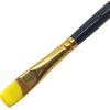 RoseArt Acrylic Paint Raven Black 32oz Bottle, Acrylic Paint for School Projects, Arts & Crafts, Drawing & Painting(Yellow)