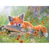 RoseArt – Abraham Hunter – Summer Dreams – 300 XL Pieces Jigsaw Puzzle for Adults(Summer Dreams)