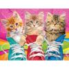 RoseArt – Kodak Premium – Sneaky Kats – 350XL Piece Jigsaw Puzzle for Adults
