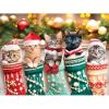 RoseArt – Kodak Premium – Sneaky Kats II – 350 Piece Jigsaw Puzzle for Adults(Kitten Stockings)