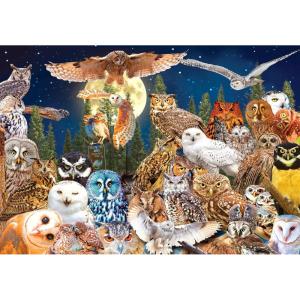 RoseArt – Kodak Premium – Night Owls – 1500 Piece Jigsaw Puzzle for Adults(Night Owls)