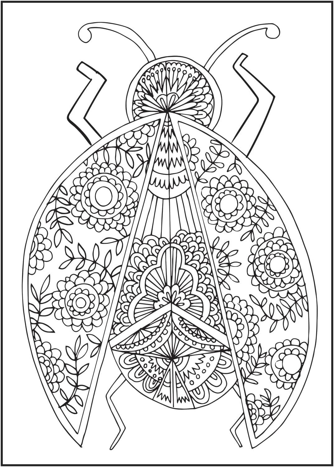 image:imageCraZArt Spread Your Wings Creative Coloring Book 64 Page
