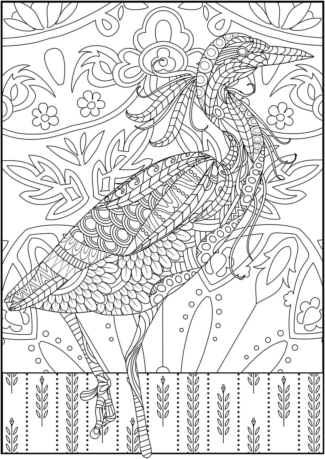 image:imageCraZArt Spread Your Wings Creative Coloring Book 64 Page