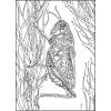 Cra-Z-Art Spread Your Wings Creative Coloring Book 64 Page