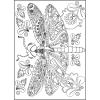 Cra-Z-Art Spread Your Wings Creative Coloring Book 64 Page