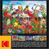RoseArt – Kodak Premium – Birds and Blooms – 550 Piece Jigsaw Puzzle for Adults(Birds and Blooms)