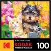 RoseArt – Kodak Premium – Bucket Buddies – 100 Piece Jigsaw Puzzle for Adults