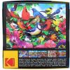 RoseArt – Kodak Premium – Friendly Birds – 1000 Piece Jigsaw Puzzle for Adults(Friendly Birds)