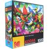 RoseArt – Kodak Premium – Friendly Birds – 1000 Piece Jigsaw Puzzle for Adults(Friendly Birds)