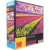 RoseArt – Kodak Premium – Friendly Birds – 1000 Piece Jigsaw Puzzle for Adults(Sunset Balloons)