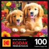 RoseArt – Kodak Premium – Golden Puppy Pals – 100 Piece Jigsaw Puzzle for Adults(Golden Puppy Pals)