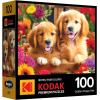 RoseArt – Kodak Premium – Golden Puppy Pals – 100 Piece Jigsaw Puzzle for Adults(Golden Puppy Pals)