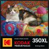 RoseArt – Kodak Premium – Knitting Kitten – 350 Piece Jigsaw Puzzle for Adults(Knitting Kitten)