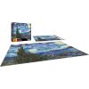 RoseArt – Kodak Premium Masters – American Gothic by Grant Wood – 2000 Piece Jigsaw Puzzle for Adults(The Starry Night By Vincent Van Gogh)