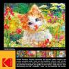 RoseArt – Kodak Premium Mosaics – American Pickup Truck – 750 Piece Jigsaw Puzzle for Adults(Cute Kittens In The Flowers)