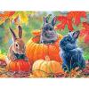 RoseArt – Abraham Hunter – Pumpkin Patch Bunnies – 500 Piece Jigsaw Puzzle for Adults(Pumpkin Patch Bunnies)