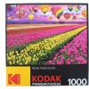 RoseArt – Kodak Premium – Friendly Birds – 1000 Piece Jigsaw Puzzle for Adults(Sunset Balloons)