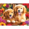 RoseArt – Kodak Premium – Golden Puppy Pals – 100 Piece Jigsaw Puzzle for Adults(Golden Puppy Pals)