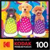 RoseArt – Kodak Premium – Golden Puppy Pals – 100 Piece Jigsaw Puzzle for Adults(Puppy Socks)