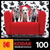 RoseArt – Kodak Premium – Lots of Spots – 100 Piece Jigsaw Puzzle for Adults(Lots of Spots)