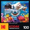 RoseArt – Kodak Premium – Lots of Spots – 100 Piece Jigsaw Puzzle for Adults(Ocean LOL)