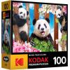RoseArt – Kodak Premium – Lots of Spots – 100 Piece Jigsaw Puzzle for Adults(Panda Playtime)